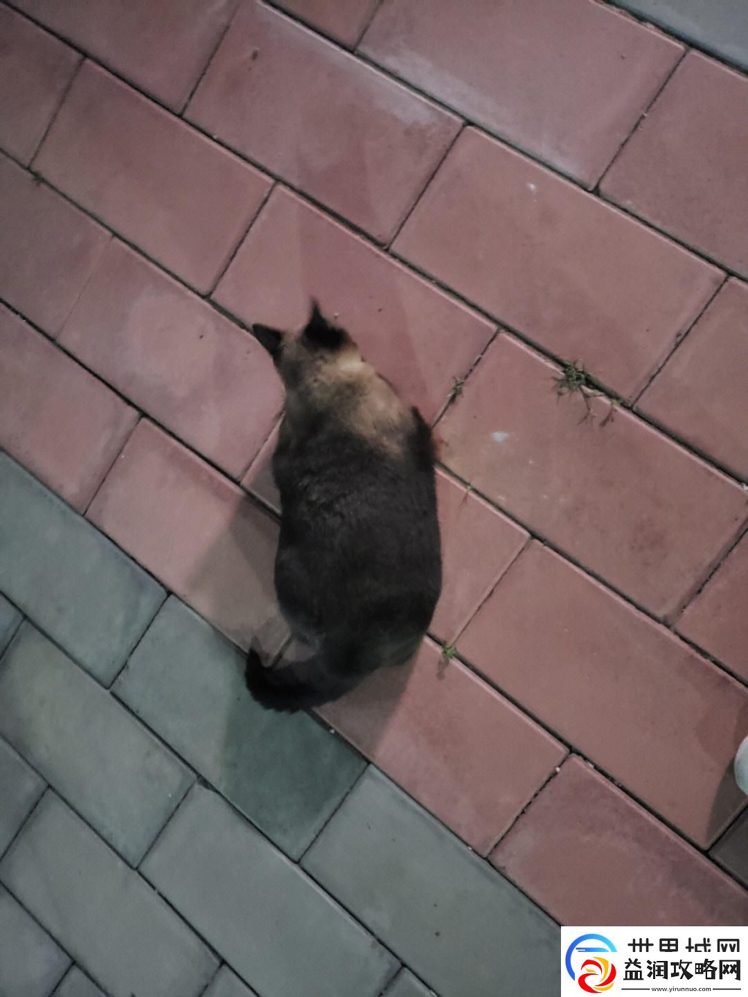 悠哉慢磨