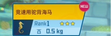 潜水员戴夫海马捕捉方法