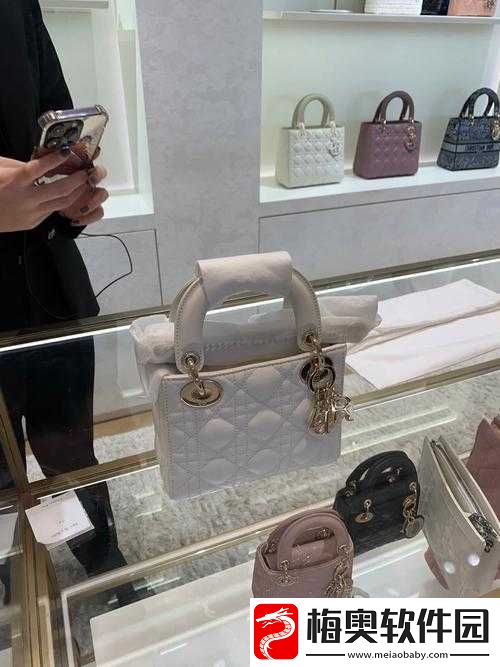 时尚女生的两个大包包：时尚与实用的完美结合