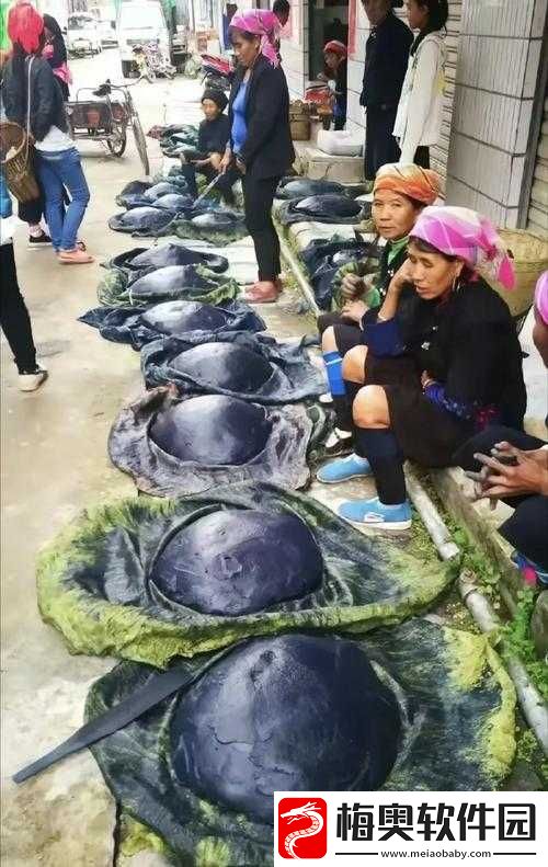又黑又大又长的神秘东西究竟是什么呢