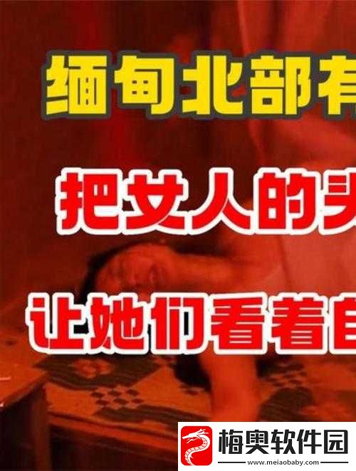 缅甸外网恐怖网站入：揭秘邪教组织的黑暗世界