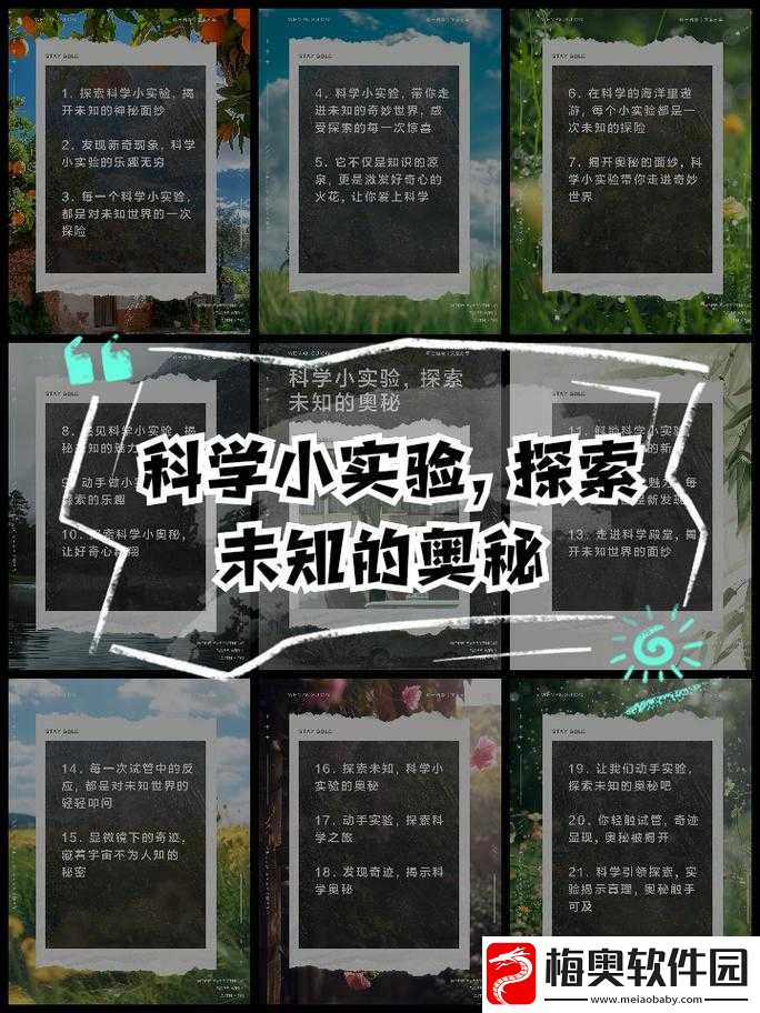 探索未知世界：综合插插背后的奥秘