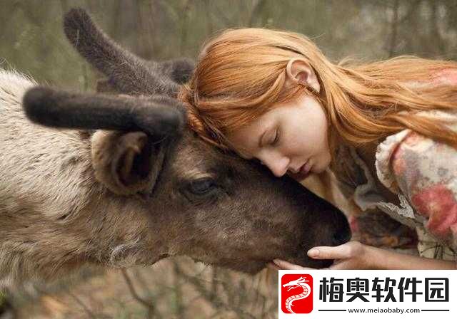 美国人与动物