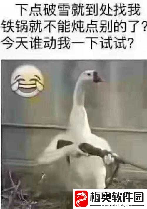 人可以日鹅的蛋到吗：关于这一问题的深入探讨与分析