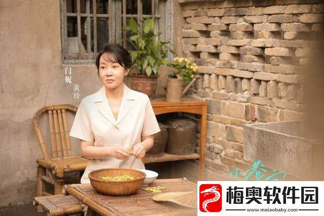 闫妮小巷人家主控力超群统治群像戏