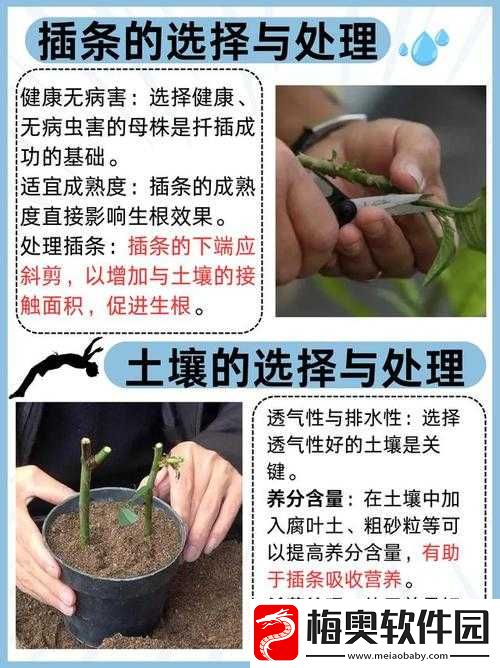 欧式-45-种扦插方式图片-详细解读与实际应用案例展示