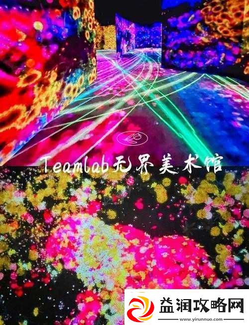 探索xxxhd16所带来的独特视觉体验