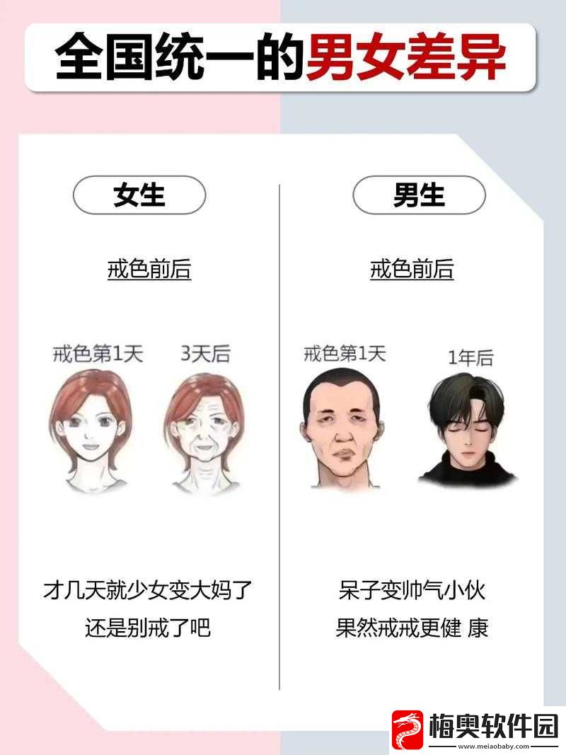 男生和女生差差：关于男女生差异的全面探讨与分析
