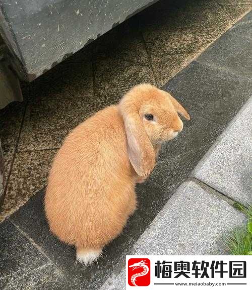 15-岁男友竟吃我小兔兔这令人震惊的行为