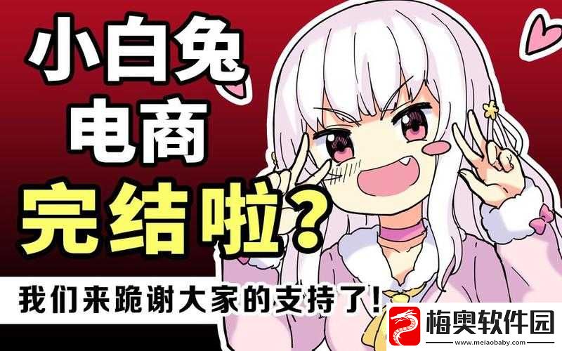 小白兔电商-深度剖析逆袭之路及其多元化结局探索之旅