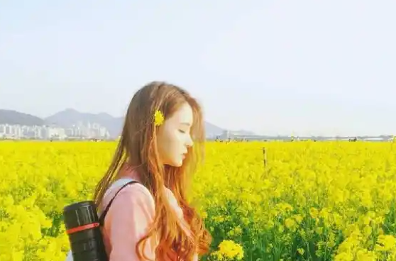 班花趴下让我 了一节课：这部作品确实让人眼前一亮！