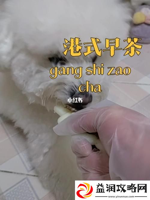 探索神奇的“狗和人胶配方20分钟”：生活中的趣味实验