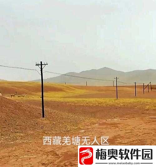 探索亚洲无人区的神秘与壮丽：高清完整版震撼呈现