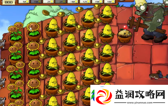 植物大战僵尸抽卡版冒险模式5