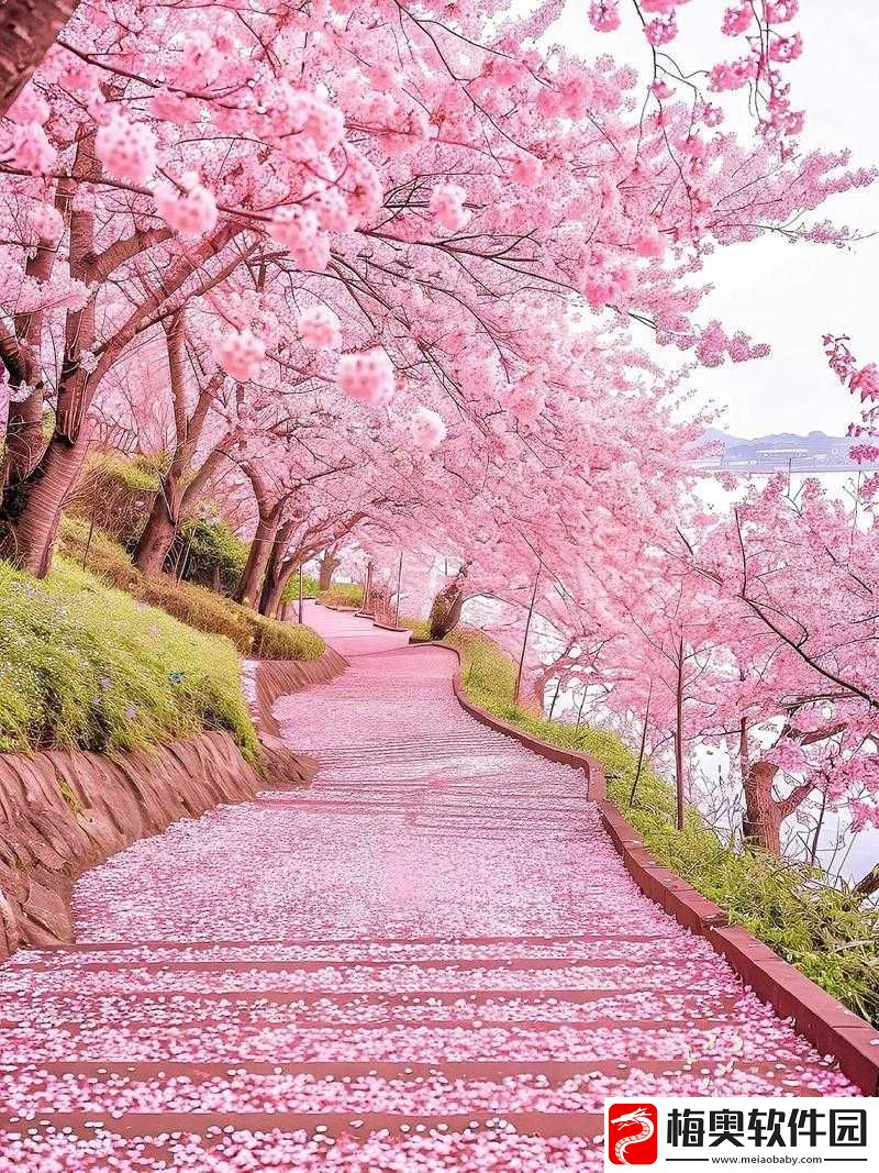 我们换个地方做樱花：一起探寻别样浪漫