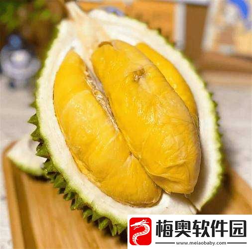 致命公司中传送器的奥秘：穿梭时空的强大力量解析