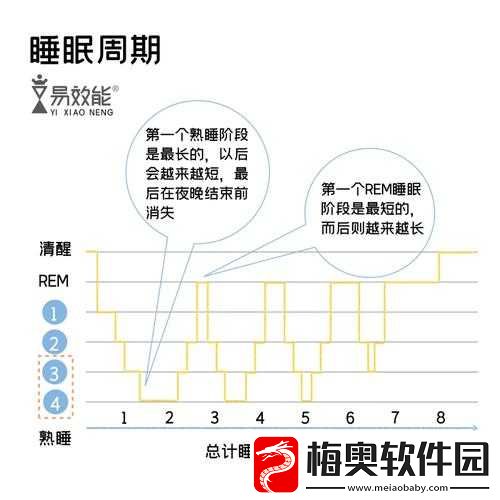 生活真相之大学睡眠阶段攻略与免疫环节的全面详细介绍