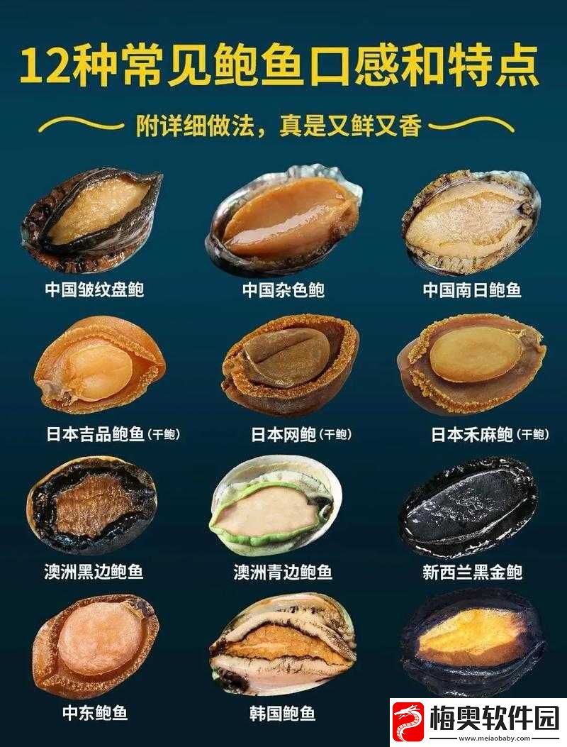 阿娇鲍鱼