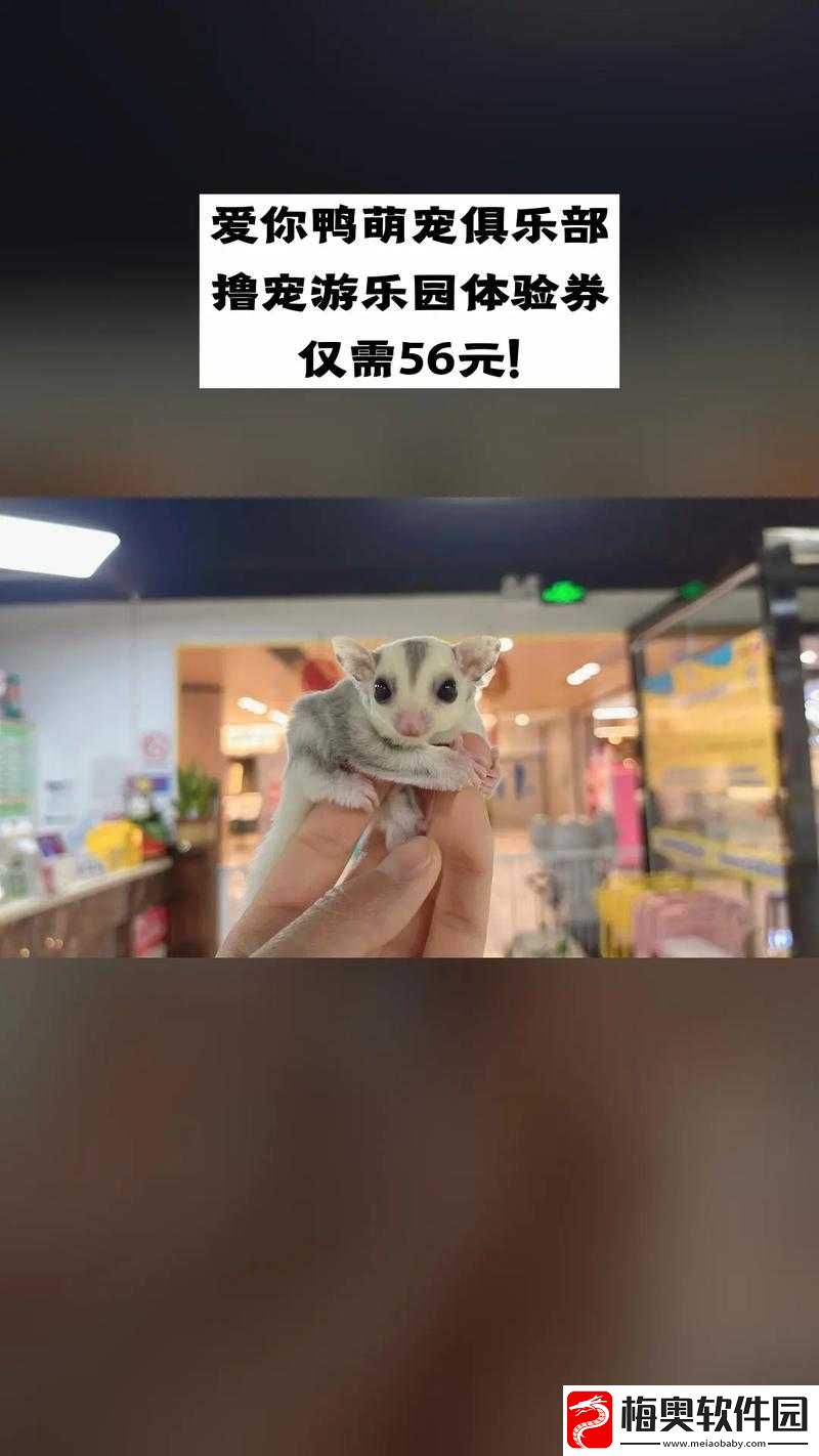 宠物自走棋：策略博弈与萌宠结合的独特体验