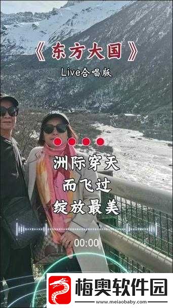 征国双开挂机软件指南：详解如何双开征国群英战