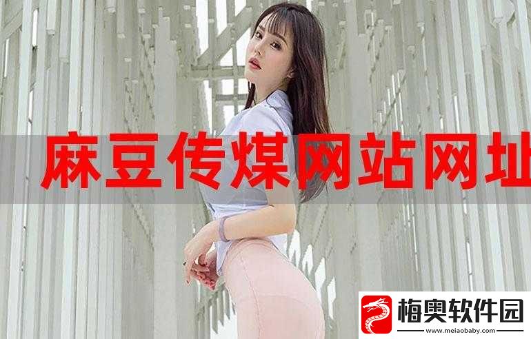麻豆文化传媒官方网站入口免费-畅享精彩内容