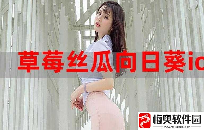 豆奶富二代榴莲草莓丝瓜：它们之间的奇妙关联
