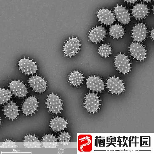 探索我的世界微观世界