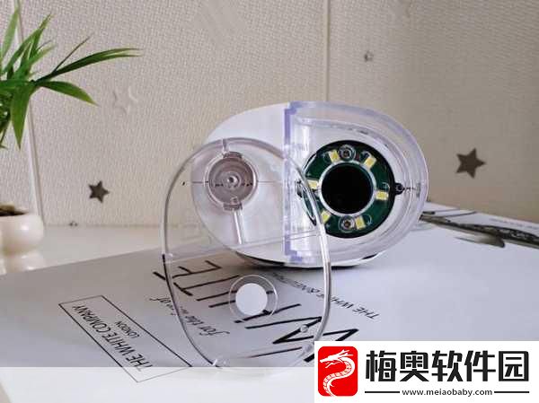 探索我的世界微观世界-最小生物排行大揭秘-蠹虫意外落榜