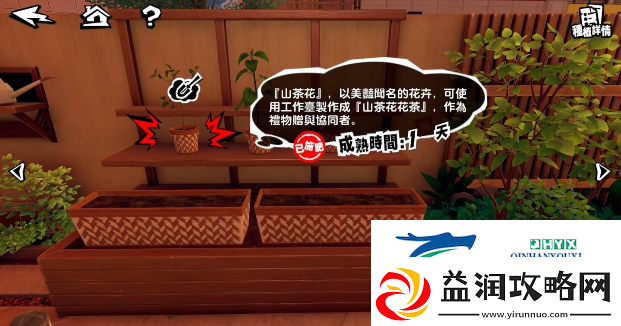 女神异闻录夜幕魅影有哪些小游戏