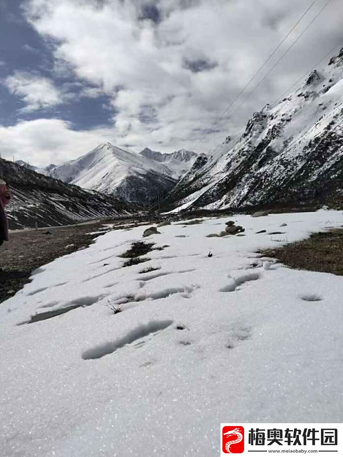 “雪峰埋头的红瞬间：笑谈科技圈的‘冰封’潮流”