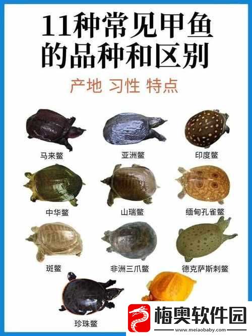 单位一二三产区区别在哪儿及特点分析