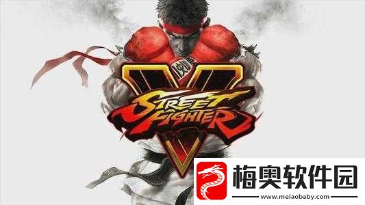 街头霸王5秘籍揭秘