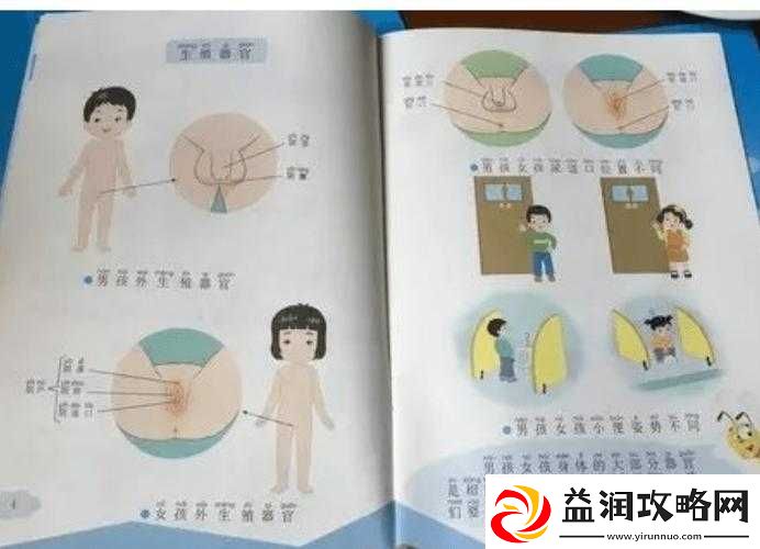 少妇性-BBB-搡-BBB-爽爽爽：探究性行为与性满足的关系