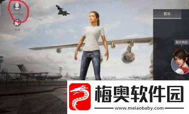 和平精英捏脸代码怎么用