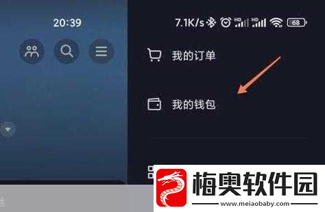 深入解析抖音月付-含义、功能与使用指南