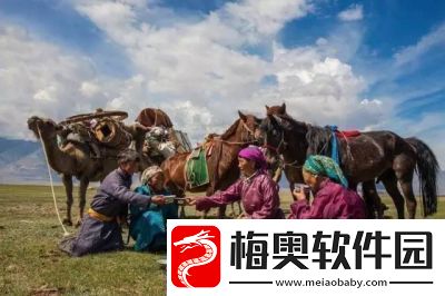 琪琪视频：探索无限可能分享精彩生活