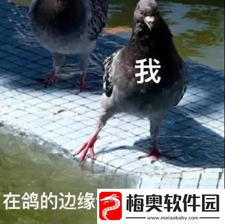 他明明那么普通却又那么自信表情包有哪些
