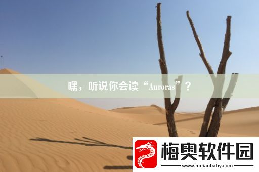 嘿-听说你会读“Auroras”