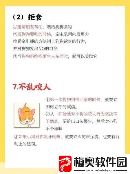 篮球队的公共玩具正伟：1.篮球队的公共玩具：团结与乐趣的象征
