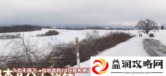 够狠！日本北海道阻无良游客未果