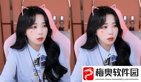 草莓APP汅API免费