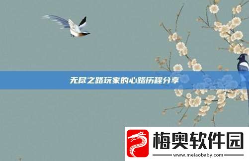 无尽之路玩家的心路历程分享