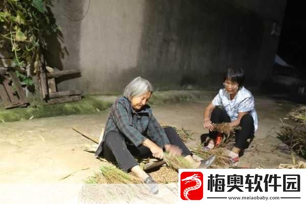 耕耘大婶的肥沃的土地：耕耘大婶的肥沃土地：丰收背后的秘密