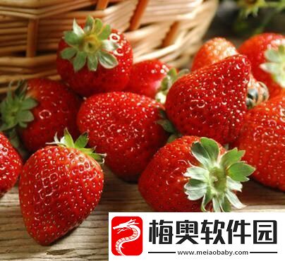 免费畅享草莓视频：无限精彩内容尽在草莓视频在线免费