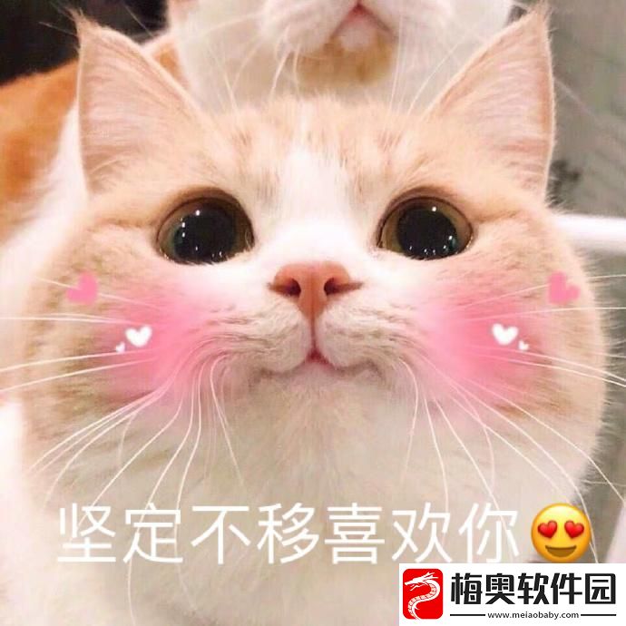 潮起心涌-秘而不显：科技圈的低调追捧潮