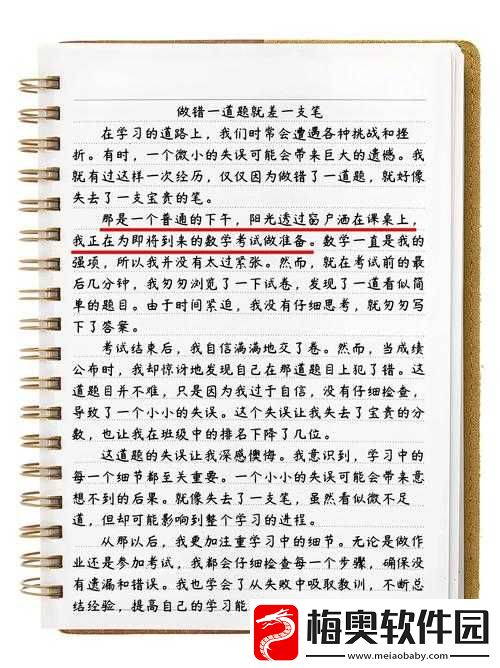 错一道题就往里面插一支笔作文：独特的教育方式