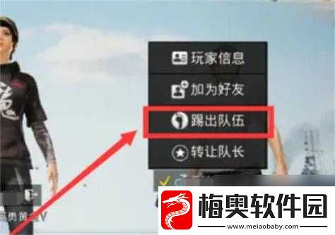 和平精英聊天室踢人方法及相关注意事项全解析