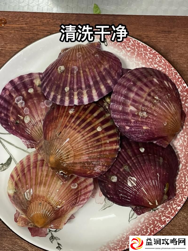 小东西你的扇贝都开张了：成长的秘密在此揭晓