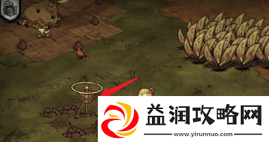 饥荒如何种菜