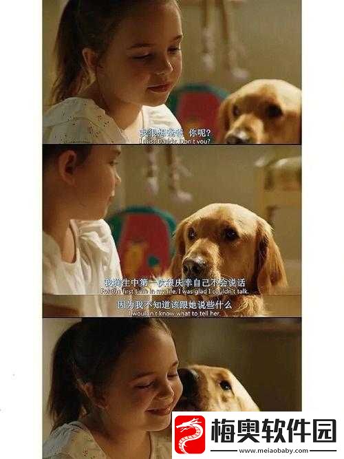 我的狗老公拉婆婆一起：平凡生活中的爱与陪伴
